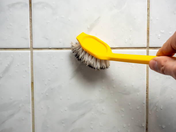Home Mold Removal in Elkton, MD